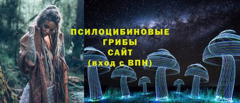 Псилоцибиновые грибы MAGIC MUSHROOMS  MEGA как зайти  Зея 